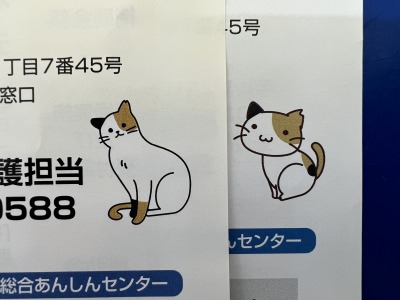 ネコのさくら耳(耳のV字カット)