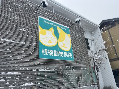 高知　大雪　桟橋動物病院