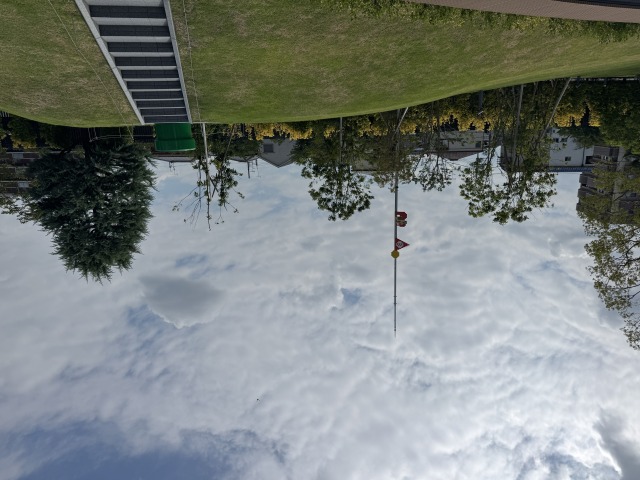 ニンテンドーミュージアム